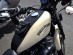 P) LEATHER TANK Panel Pad Chap Bib for HARLEY DAVIDSON SPORTSTER LX 883 & 1200 IRON 